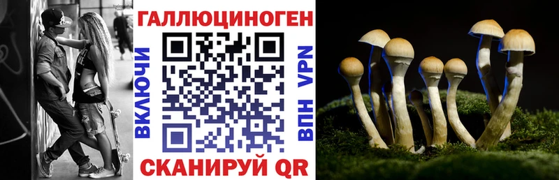 Псилоцибиновые грибы GOLDEN TEACHER  Казань 
